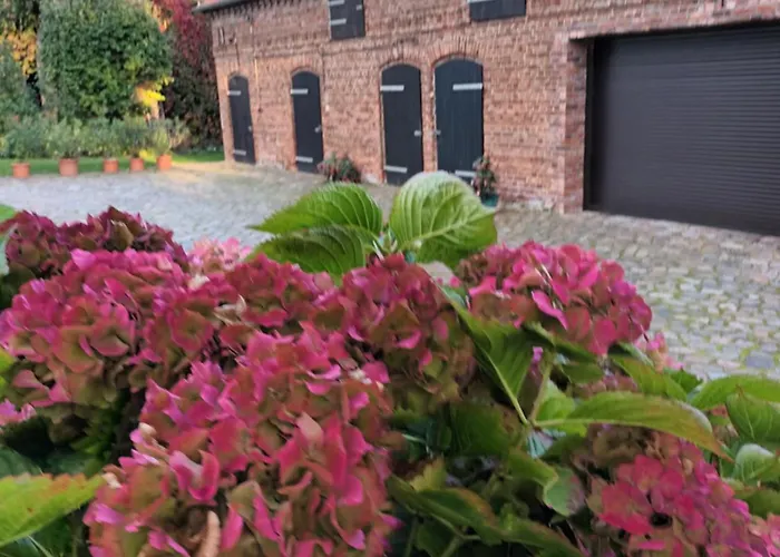 Ferienwohnung Perlitz