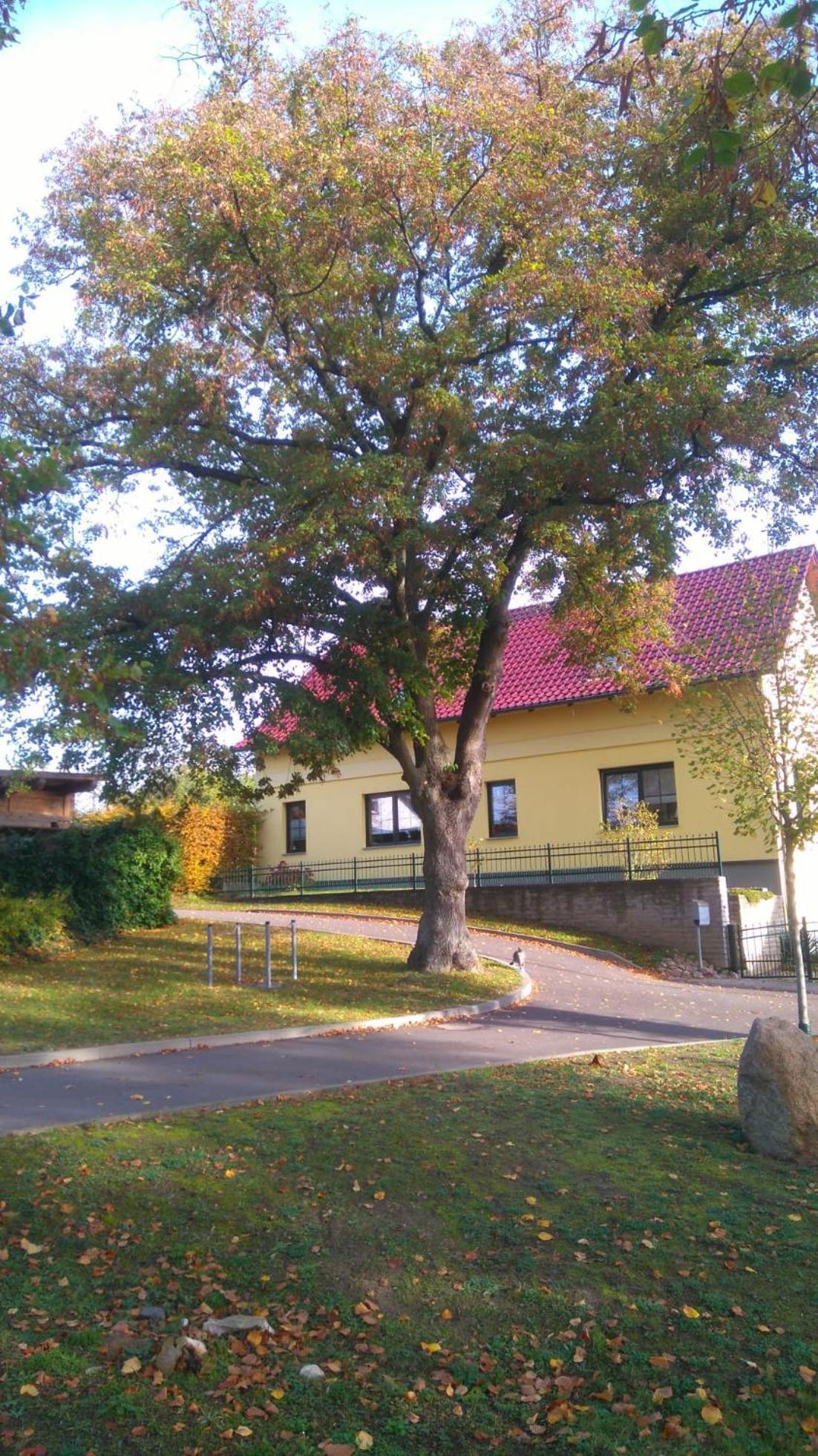 Perlitz Apartment